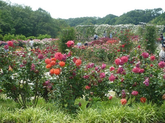 blog1030905.jpg
